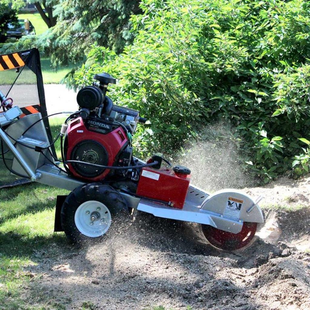 Boomstronk frezen & hakselen – Professioneel uitgevoerd., Tuinonderhoud of Snoeiwerk