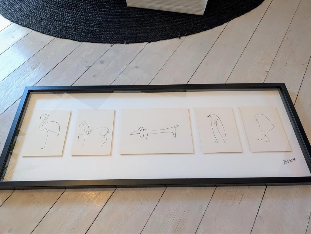 Picasso line art dieren 2009 nieuw in originele verpakking, Huis en Inrichting, Woonaccessoires | Lijsten, Ophalen, Nieuw