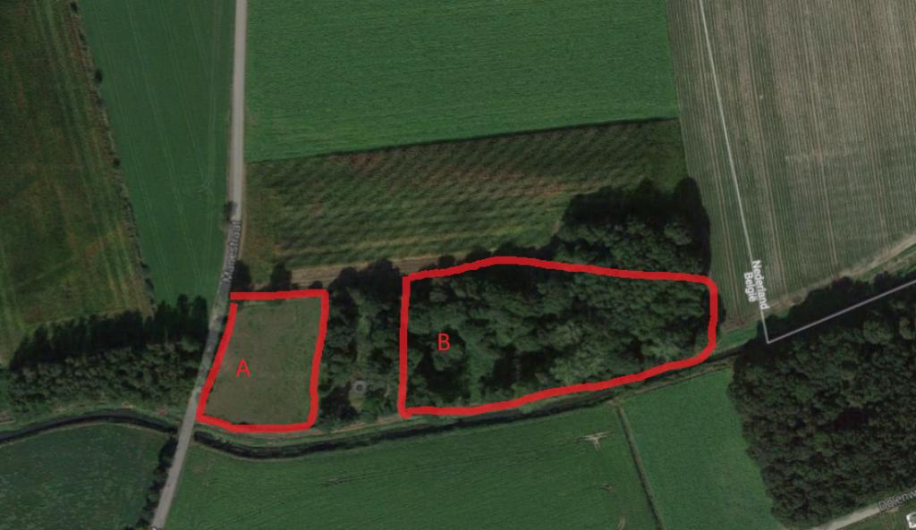 Beboste grond gelegen in agrarisch gebied Molenbeersel 1 Ha, Immo, Kinrooi Molenbeersel, 1000 tot 1500 m²