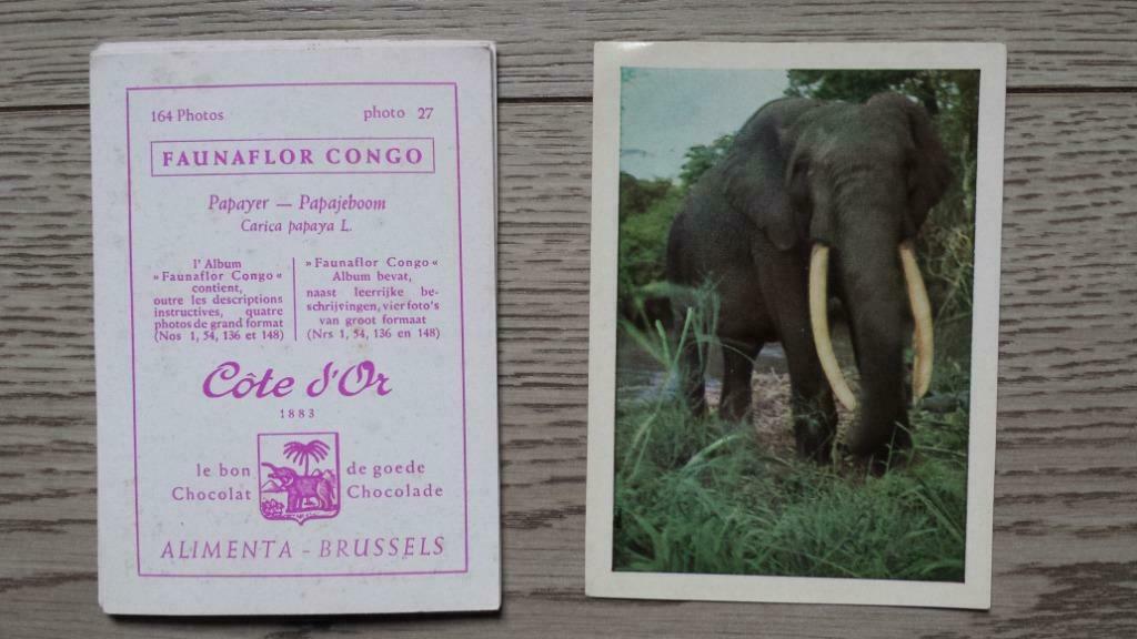 Côte d'Or Faunaflor Congo - Alimenta-Brussels - Chocolat, Enlèvement ou Envoi, Utilisé
