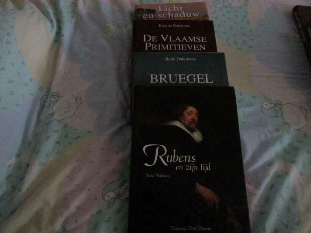 8 boeken over schilderkunst, Enlèvement, Utilisé