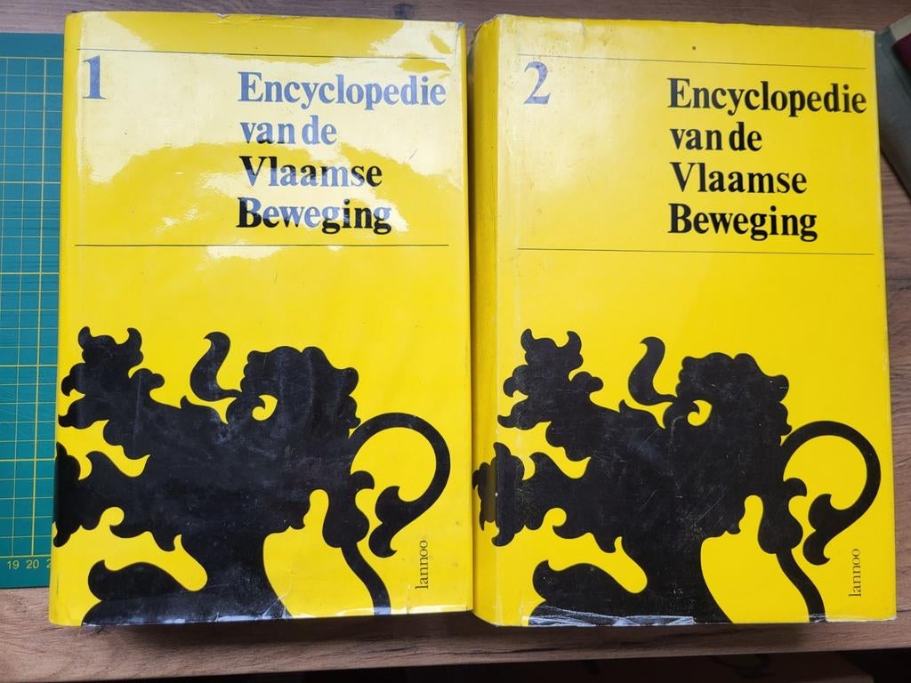 Encyclopedie van de Vlaamse Beweging (2d), Boeken, Ophalen of Verzenden, Gelezen