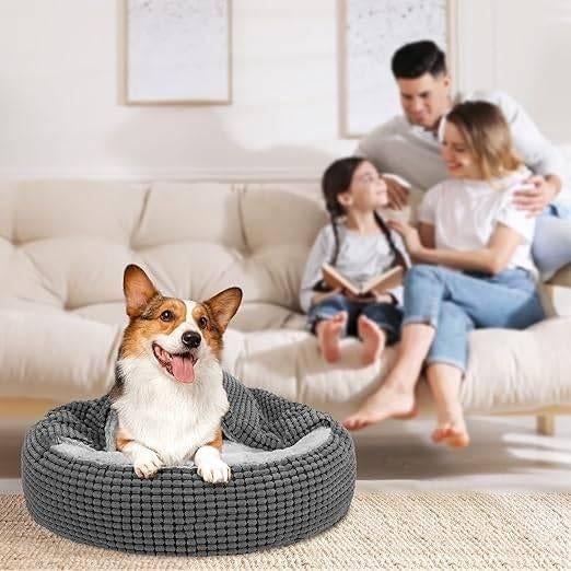 Lit rond pour chien | LIVRAISON GRATUITE, Animaux & Accessoires, Paniers pour chiens, Neuf, -, JOEJOY, -