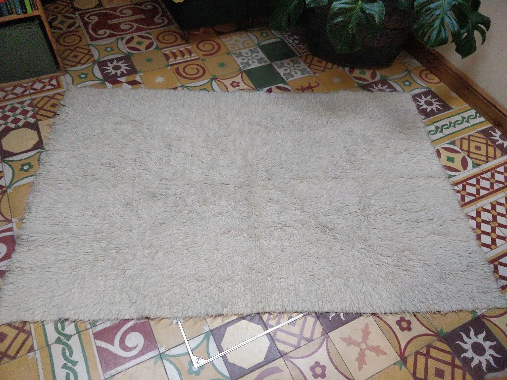 Tapis blanc, 150 à 200 cm, 100 à 150 cm, Enlèvement, Utilisé