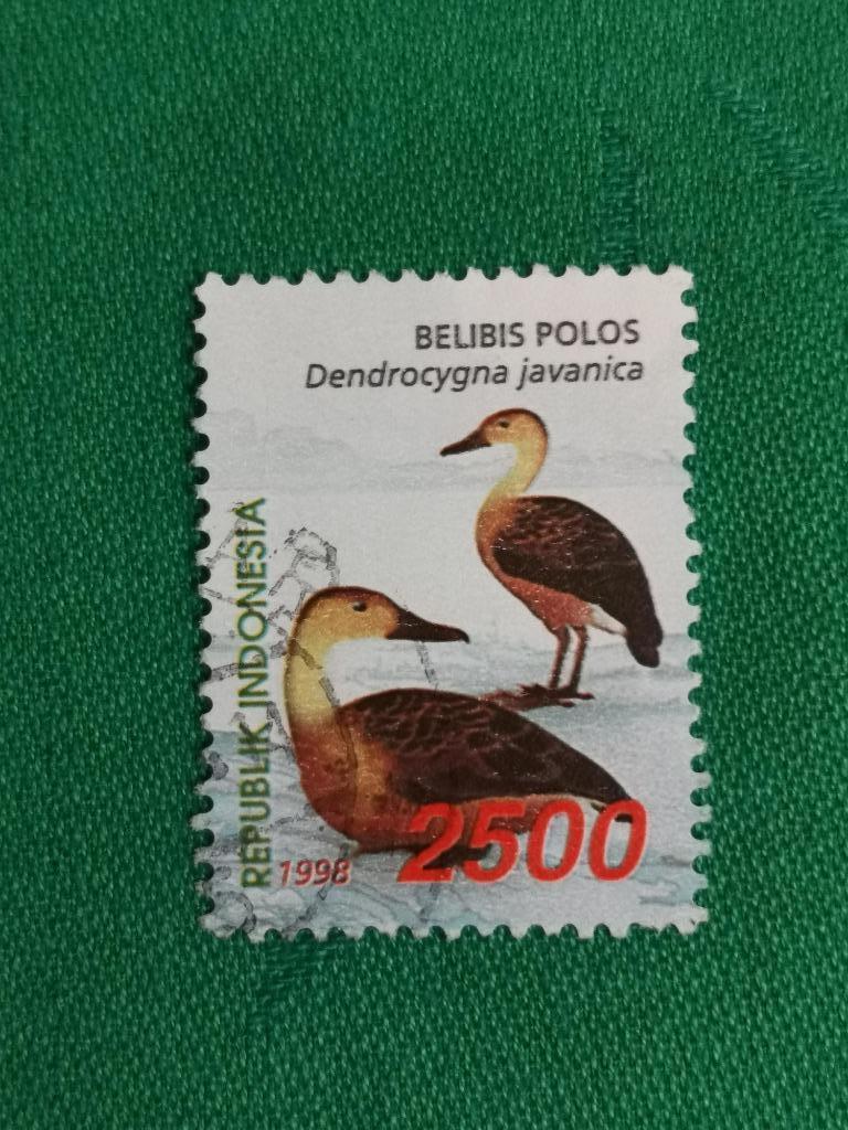 Indonésie 1998 - oiseaux - canards, Timbres & Monnaies, Enlèvement ou Envoi, Affranchi, Animal et Nature