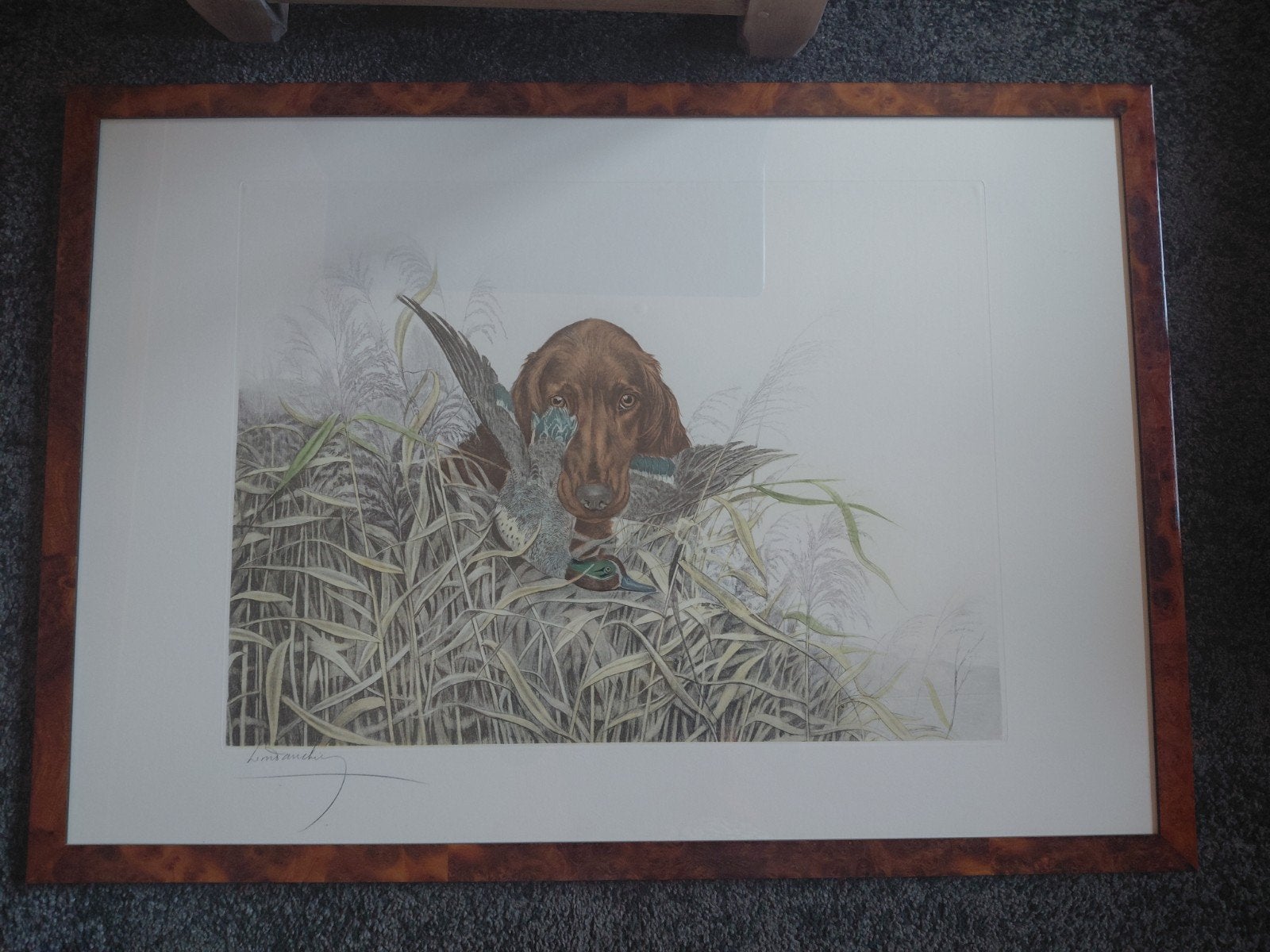 Tableau  Léon Danchin Setter avec Sarcelle dans sa gueule., Antiek en Kunst, Kunst | Etsen en Gravures, Ophalen, Landschap, Gravure