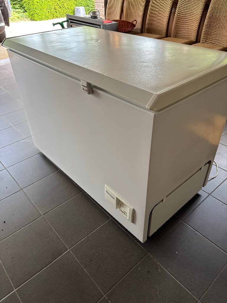 Diepvrieskist, Electroménager, Congélateurs, Congélateur, 120 à 140 cm, Enlèvement, Utilisé