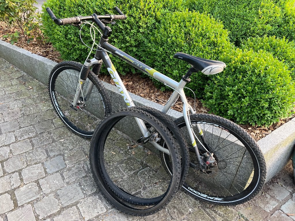 Mountainbike GIANT, Fietsen en Brommers, Fietsen | Mountainbikes en ATB, Ophalen, Gebruikt, Heren, Giant