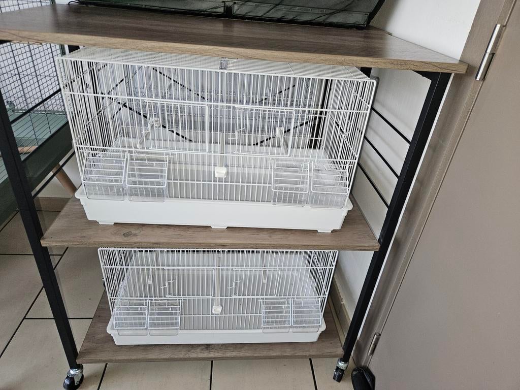 Cage, Enlèvement ou Envoi