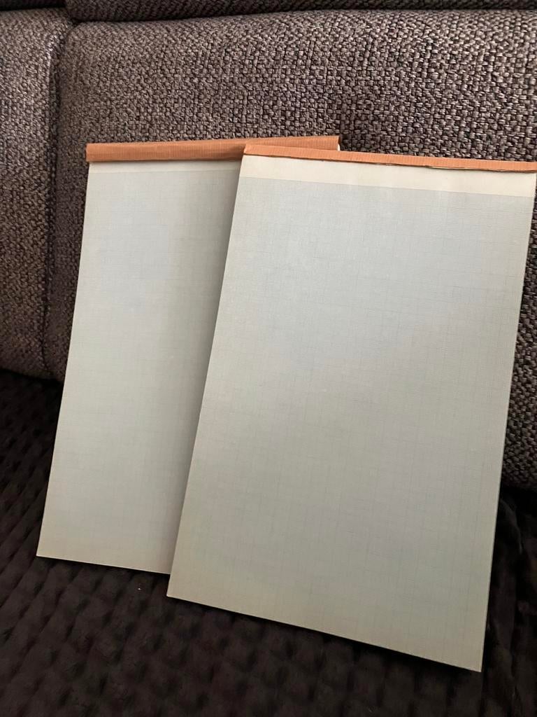 Set 2 cursusblokken millimeter papier 29,6 x 19 cm, Diversen, Papierwaren, Ophalen of Verzenden, Nieuw