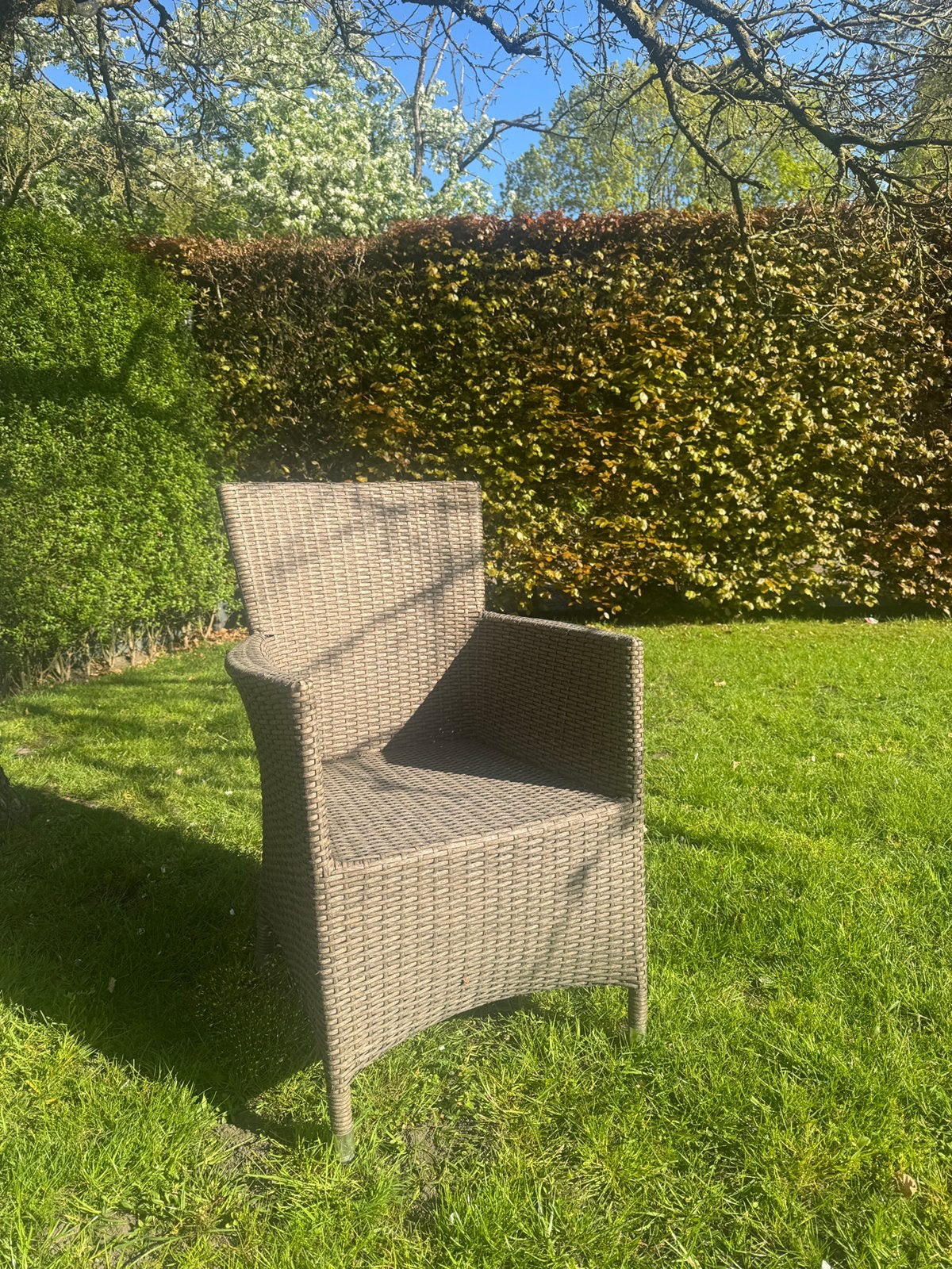 Terras stoelen 50 stuks, Ophalen, Gebruikt