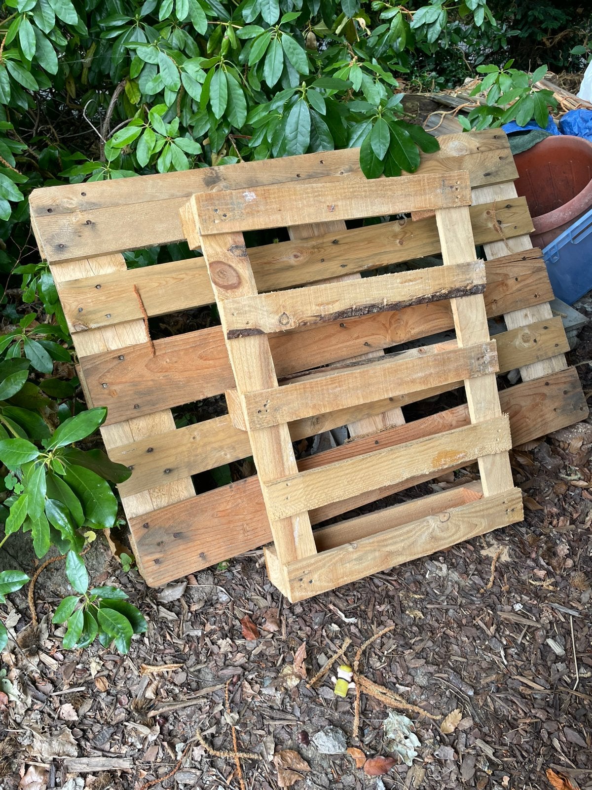 Planches et palettes, Enlèvement, Comme neuf