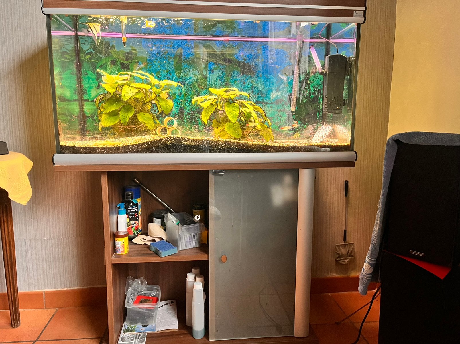 Aquarium met kast en alletiebehoren, Enlèvement, Poissons inclus, Comme neuf, Filter