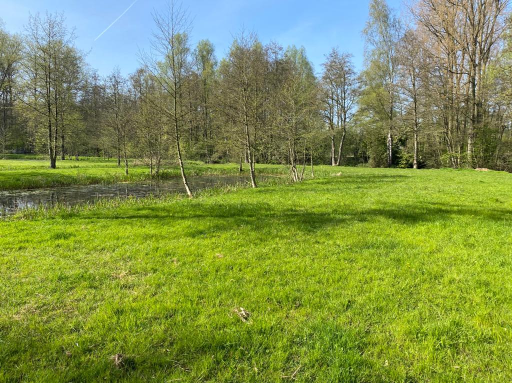 Hooi rechtstreeks van het veld