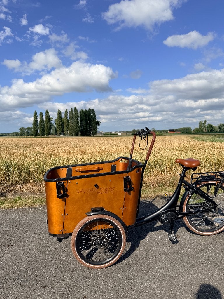 Bakfiets, Fietsen en Brommers, Fietsen | Bakfietsen, 4 kinderen of meer, Gebruikt, Huif, Schijfrem