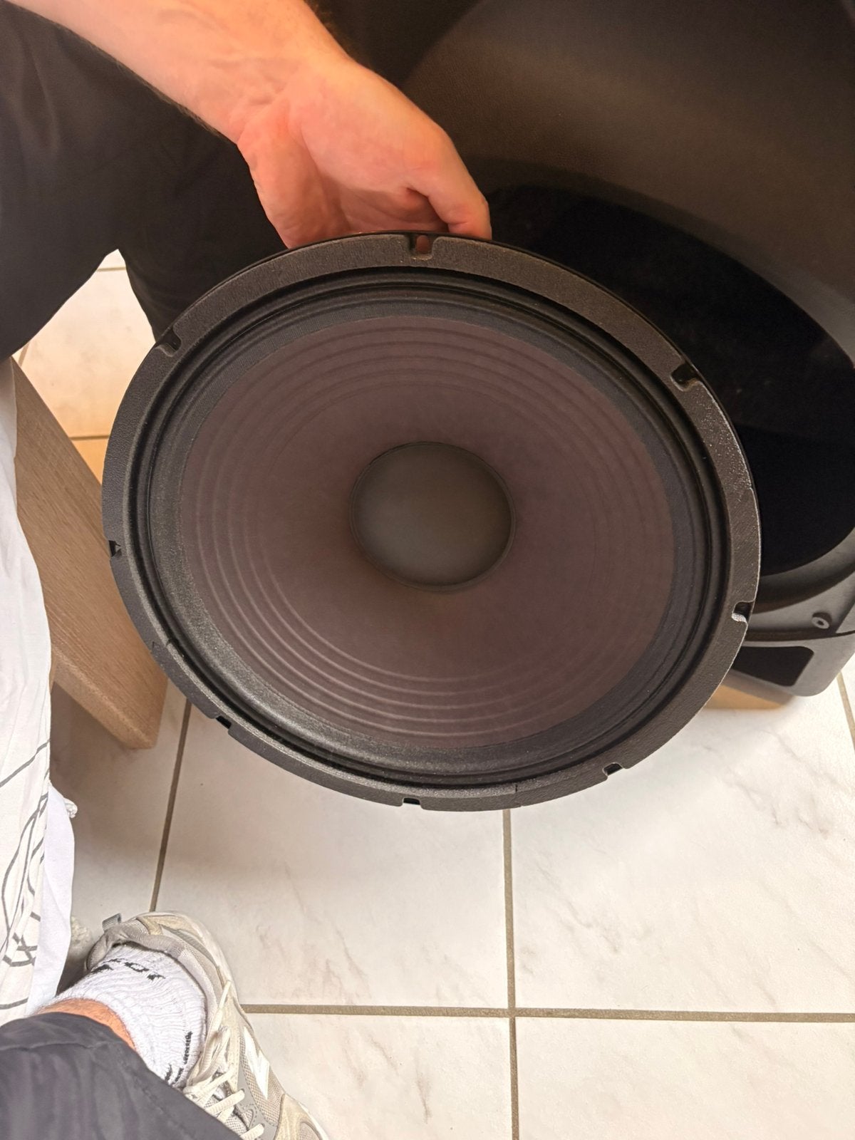 Mid bass woofer, Audio, Tv en Foto, Luidsprekerboxen, Gebruikt, Inclusief kabels, Subwoofer, Ophalen