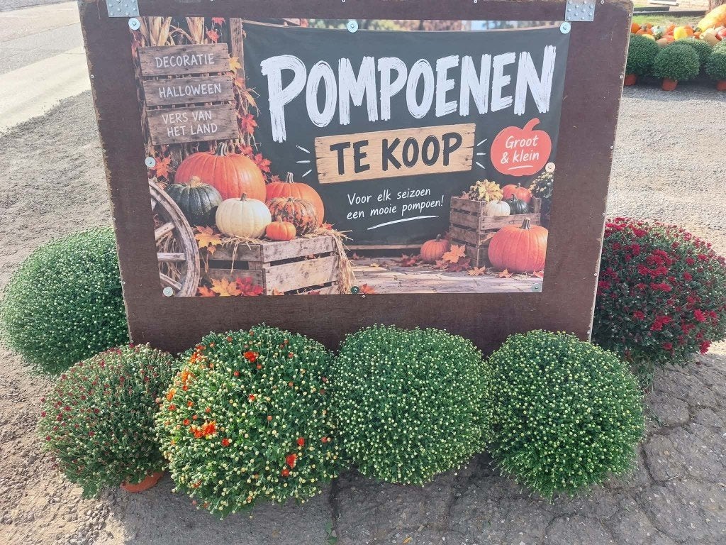 pompoenen en chrysanten, Enlèvement ou Envoi