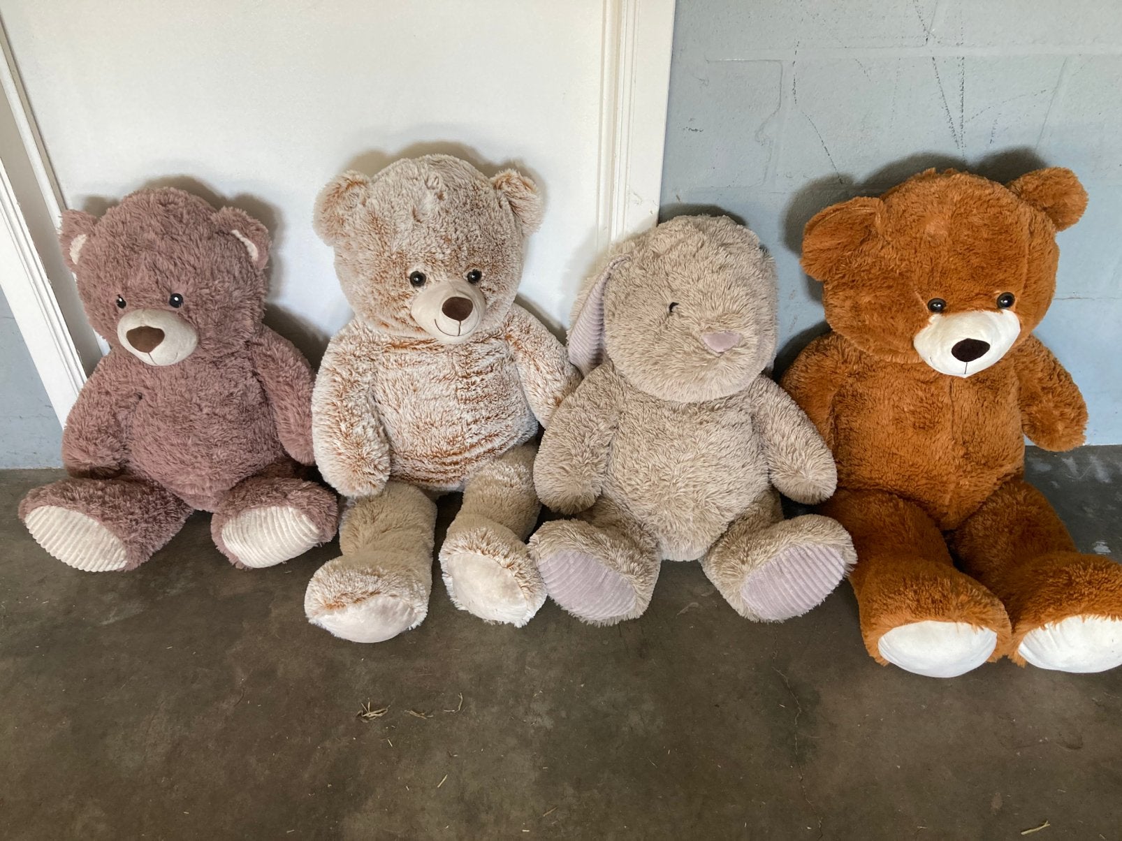 4 nieuwe beren ., Enlèvement, Comme neuf, Lapin, Grand (plus de 80 cm)