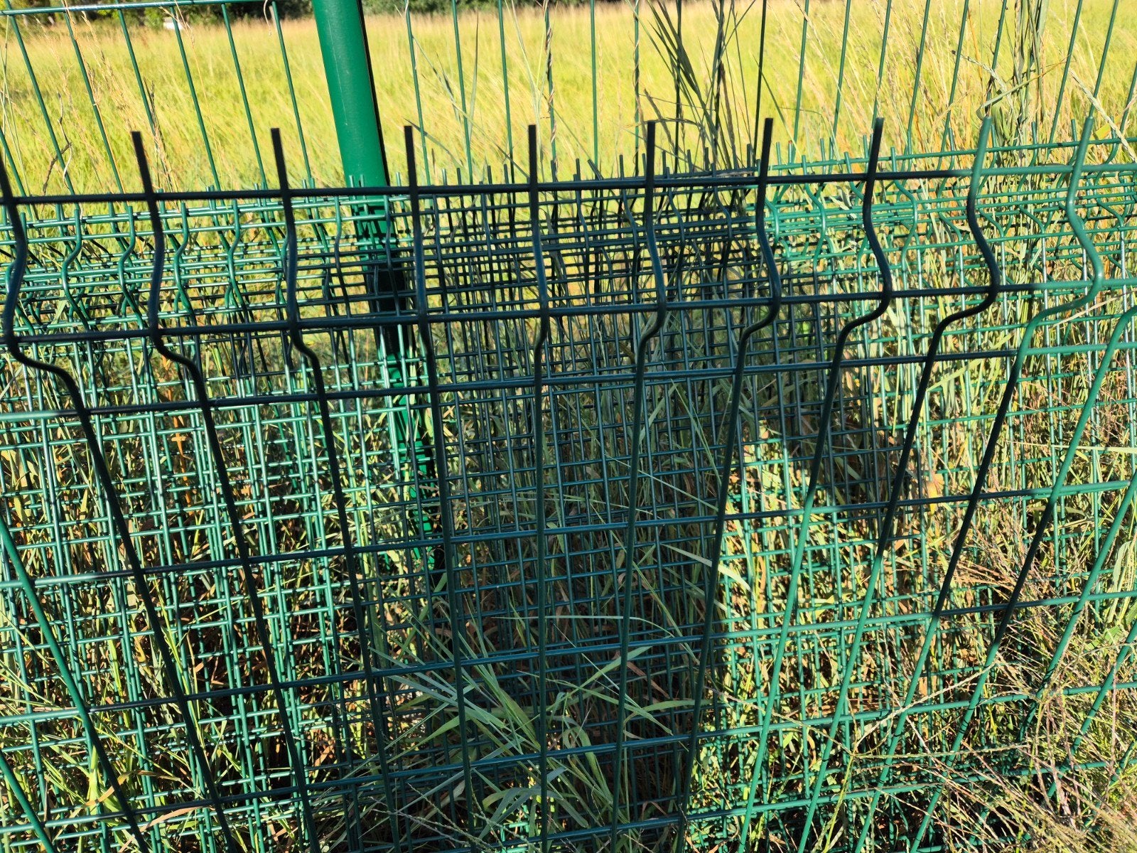 5 draadpanelen 1m hoog, Tuin en Terras, Gaas en Draad, Ophalen, Gebruikt