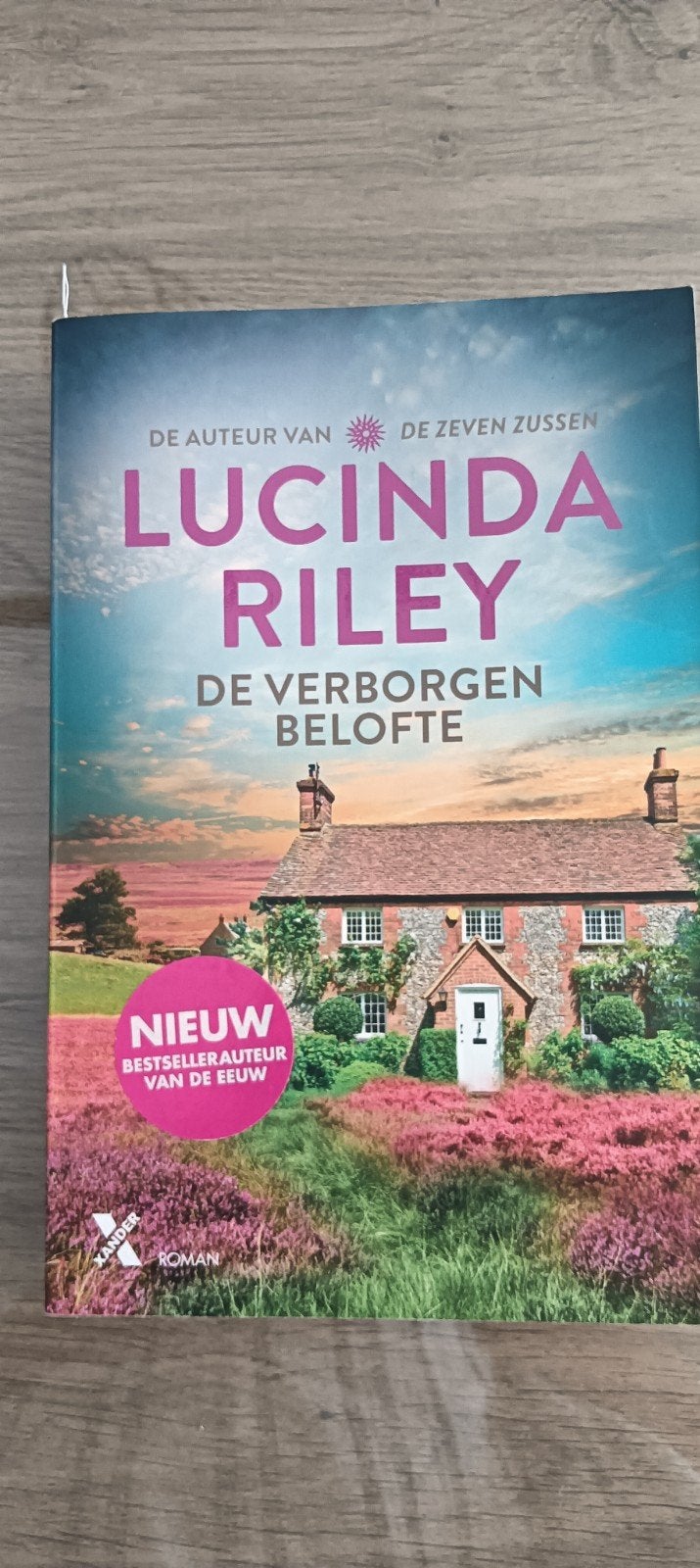 Lucinda Riley - De verborgen belofte, Enlèvement, Lucinda Riley
