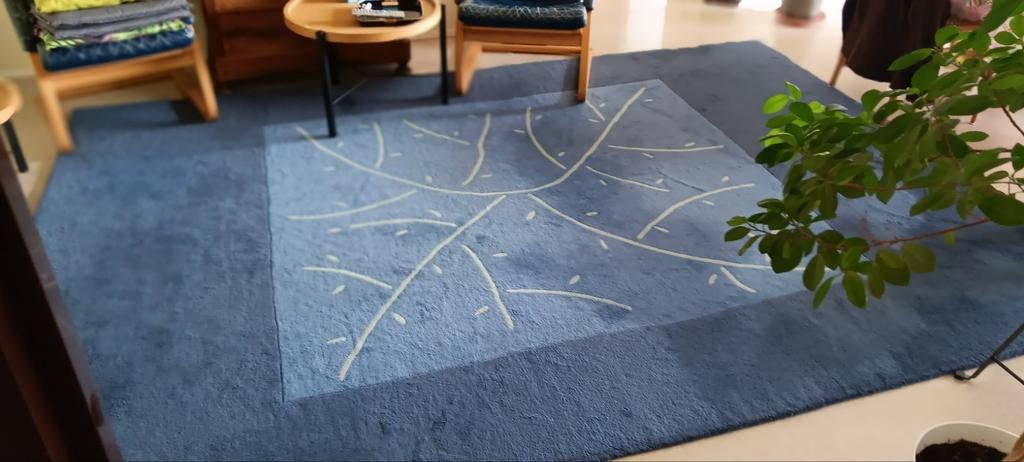 tapijt wol,, Huis en Inrichting, Stoffering | Tapijten en Vloerkleden, Ophalen, Gebruikt