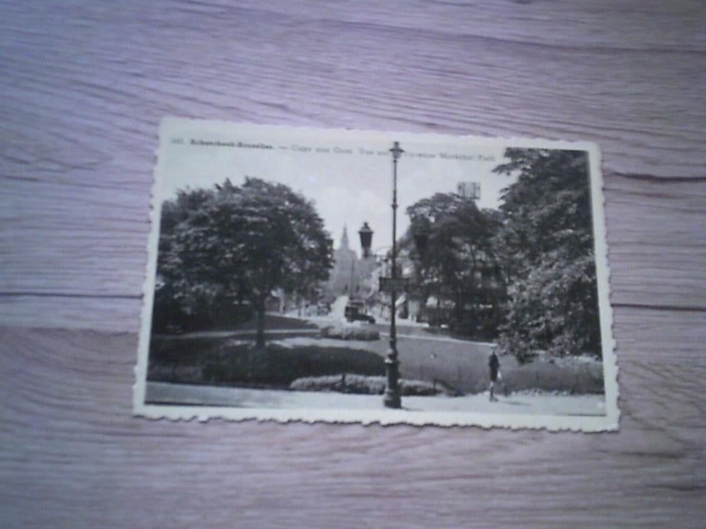 SCHAERBEEK: Cage aux Ours. Vue de l'Avenue Maréchal Foch, Ophalen of Verzenden, 1920 tot 1940, Ongelopen, Brussel (Gewest)