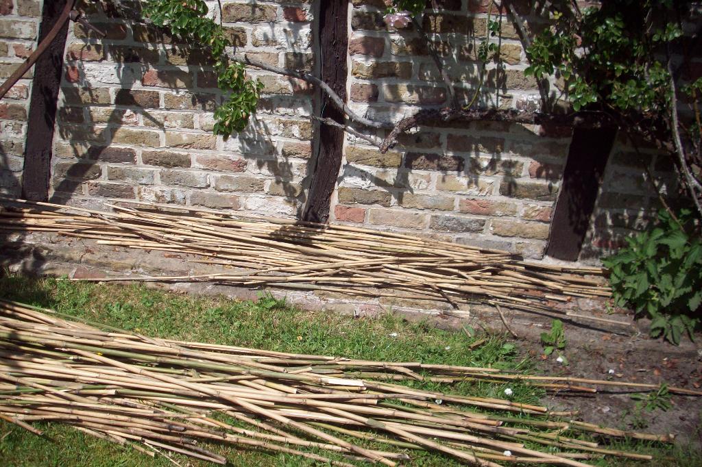 Bamboestelen, Ophalen, Nieuw, Natuurlijk materiaal, Knutselmateriaal