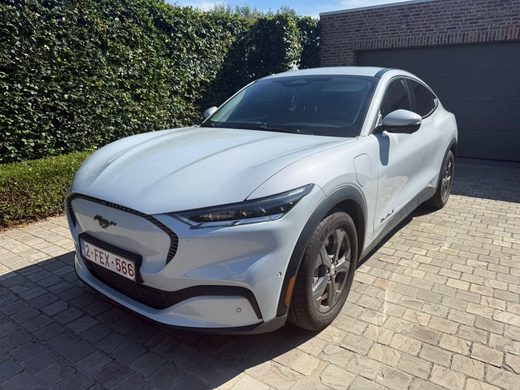 Ford Mustang Mach-E, Autos, Cuir, Achat, Euro 6, Entreprise