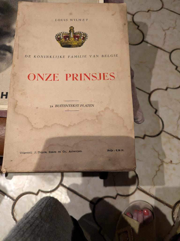 Onze prinsjes, Verzamelen, Koningshuis en Royalty, Ophalen of Verzenden, Gebruikt