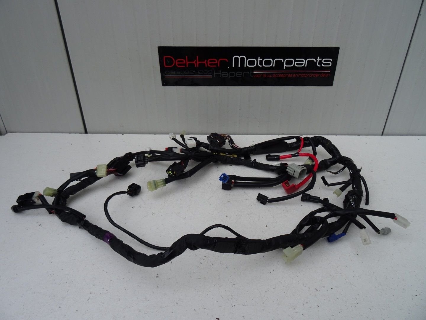 Hoofd Kabelboom / Wire Harness Yamaha YZF R1 2007-2008 RN19, Enlèvement ou Envoi, -, -, -