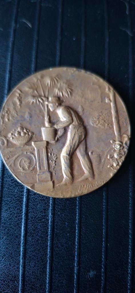 Bronzen medaille/prijspenning landbouwprijs, Ophalen of Verzenden