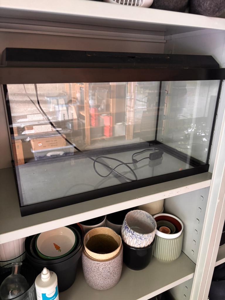 Verschillende aquariums, Enlèvement, Comme neuf, Decoratie, Juwel