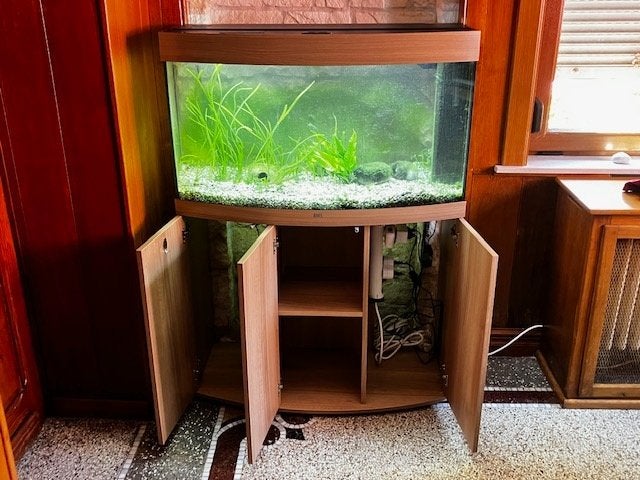 Aquarium, Animaux & Accessoires, Poissons | Aquariums & Accessoires, Aquarium d'eau douce rempli, Poissons inclus, Enlèvement