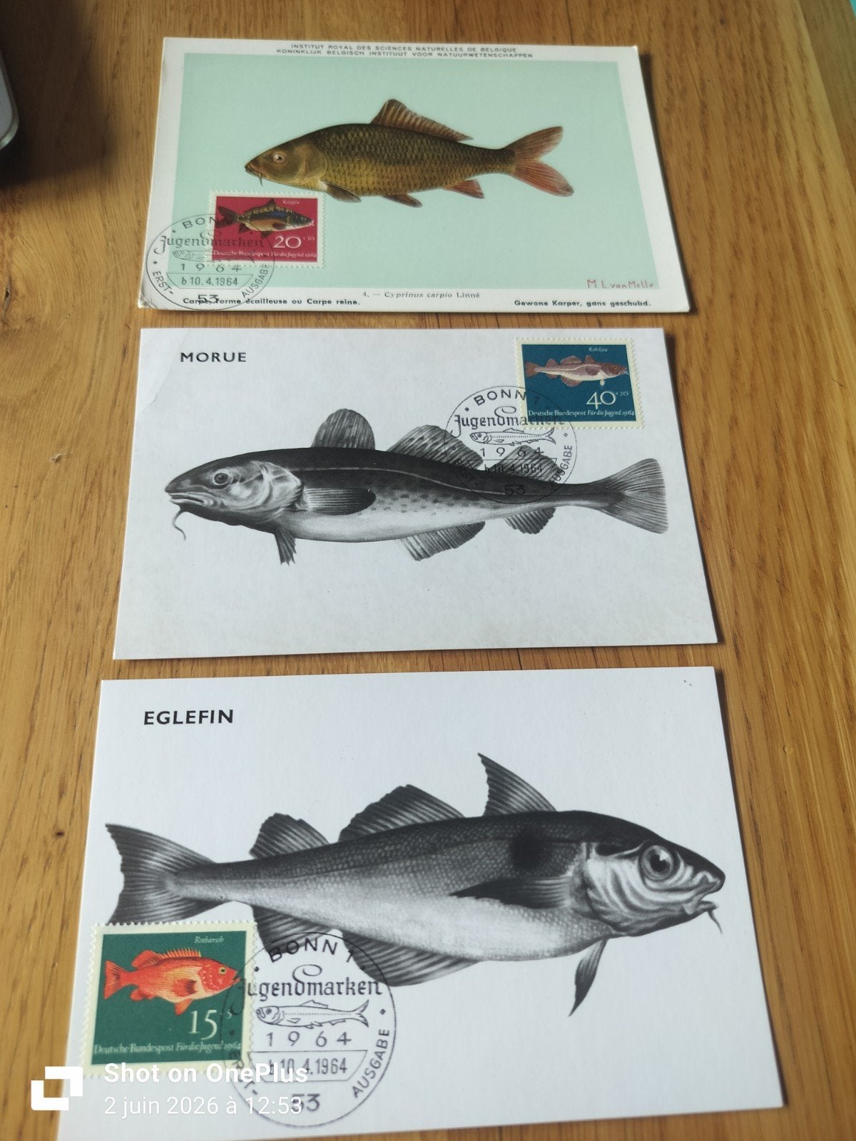 Carte de collection, Verzamelen, Postkaarten | Dieren, Ophalen