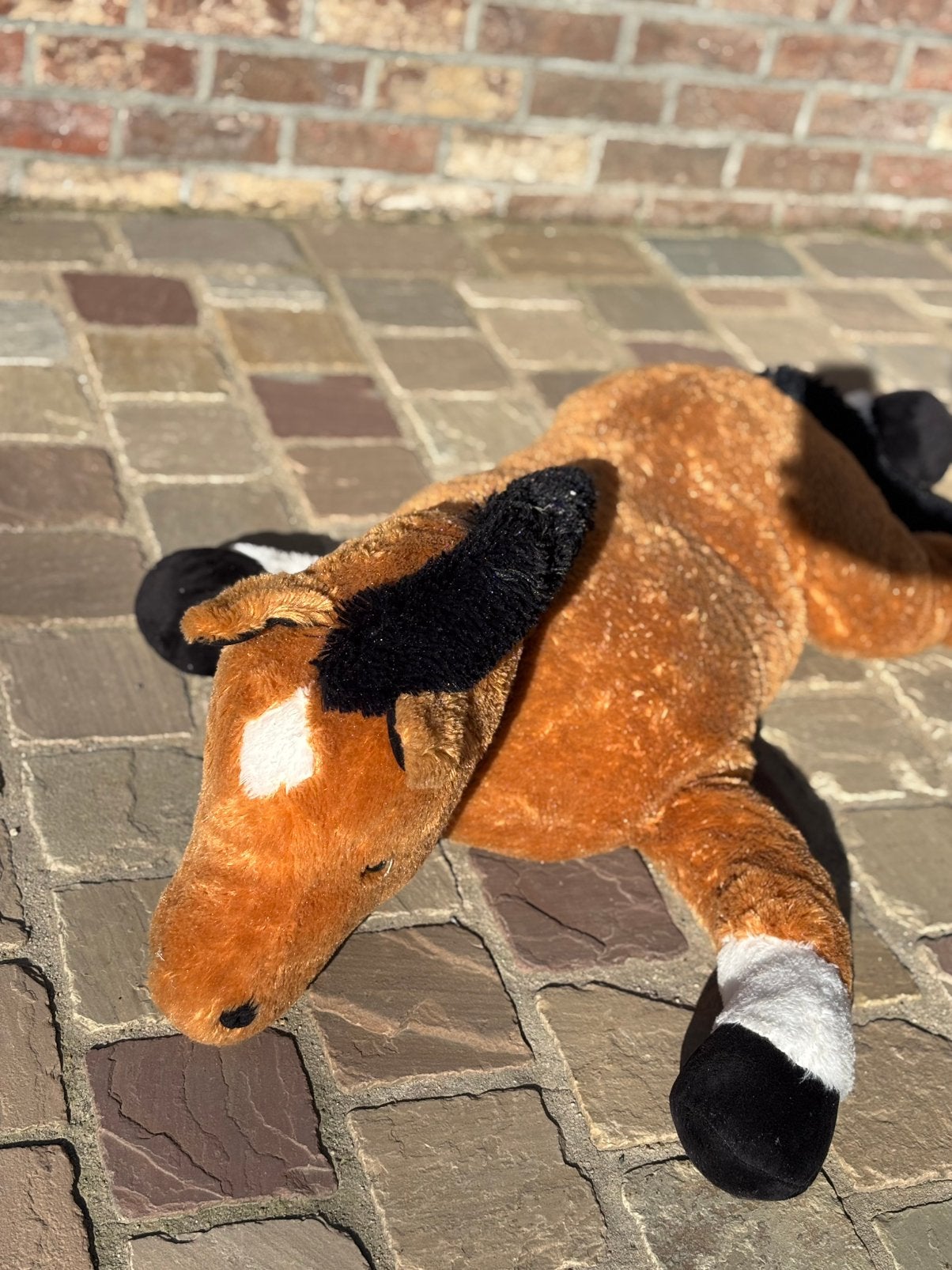 Peluche cheval, Enlèvement, Cheval