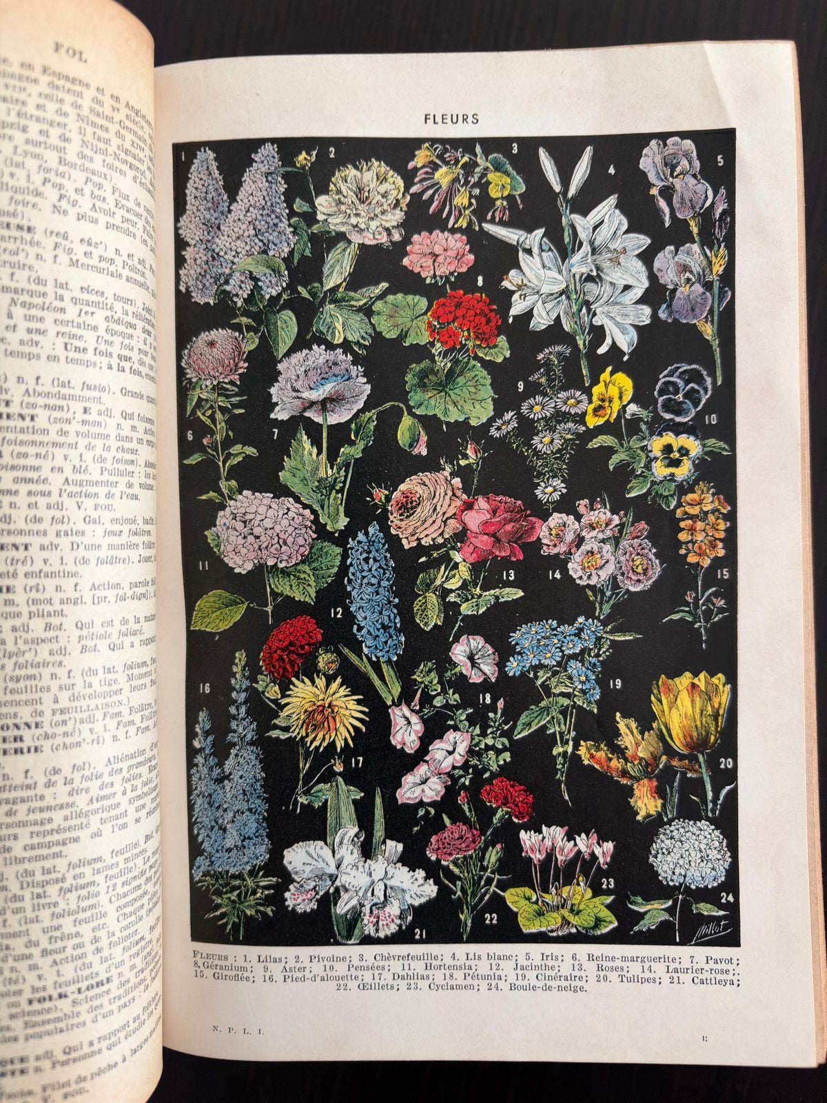 Nouveau petite larousse illustré edition1956, Enlèvement