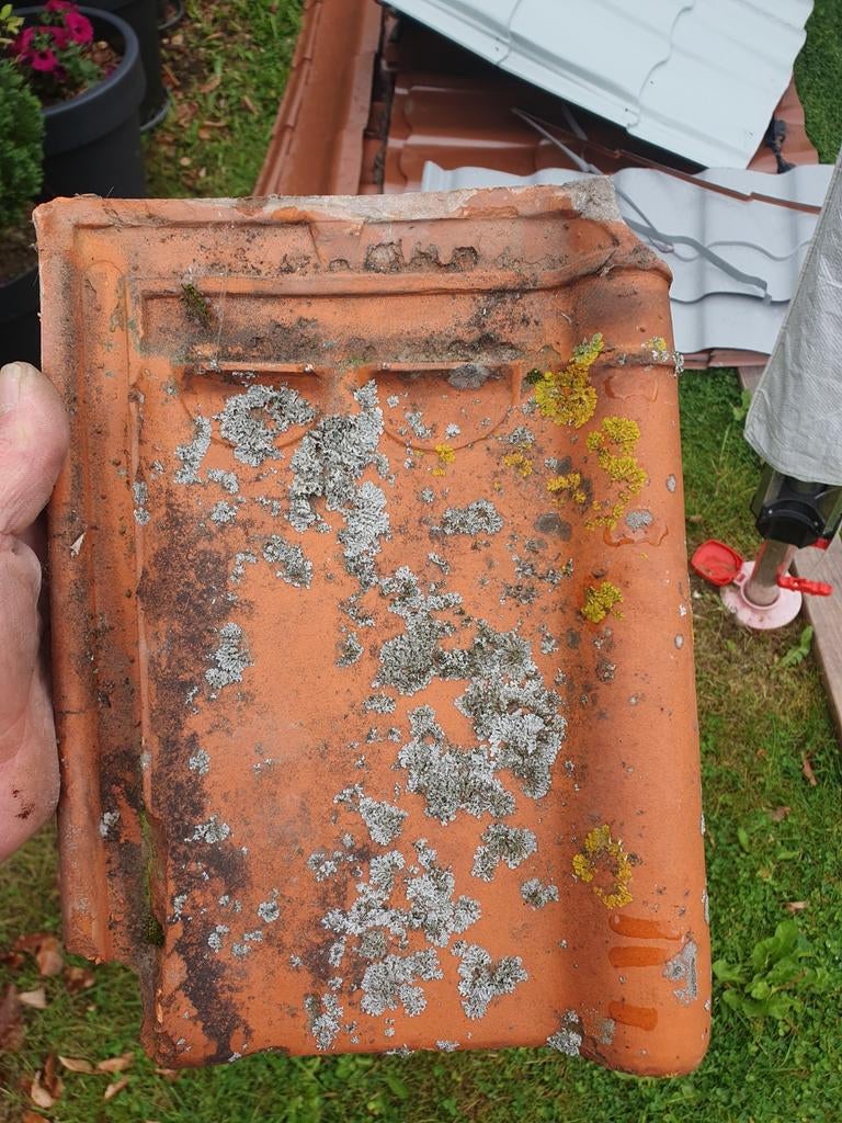 GRATIS Dak pannen, Doe-het-zelf en Bouw, Ophalen