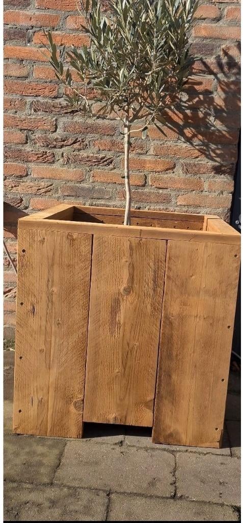 Plantenbak Thermowood -- natuurlijke elegantie 10%korting, Neuf, Enlèvement ou Envoi, Rijkevorsel, Intérieur