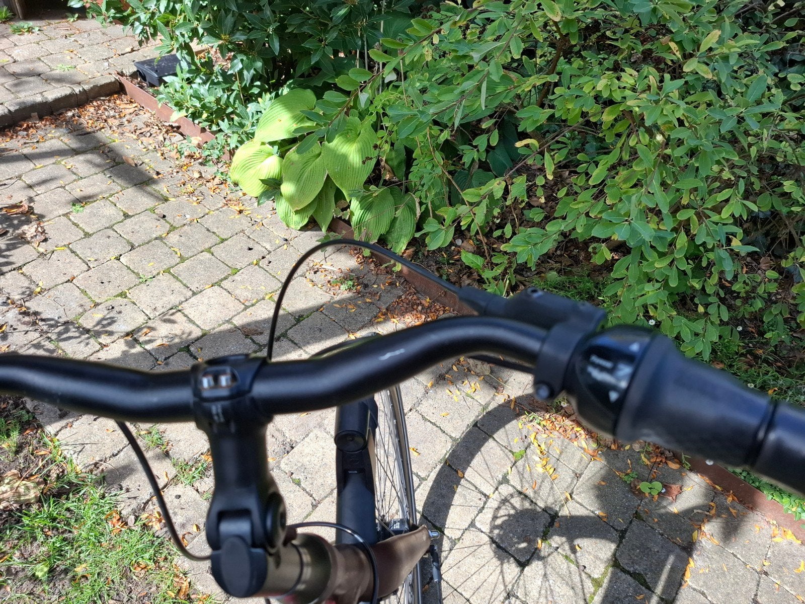 dames fiets, Vitesses, Batavus, 53 à 56 cm, Enlèvement