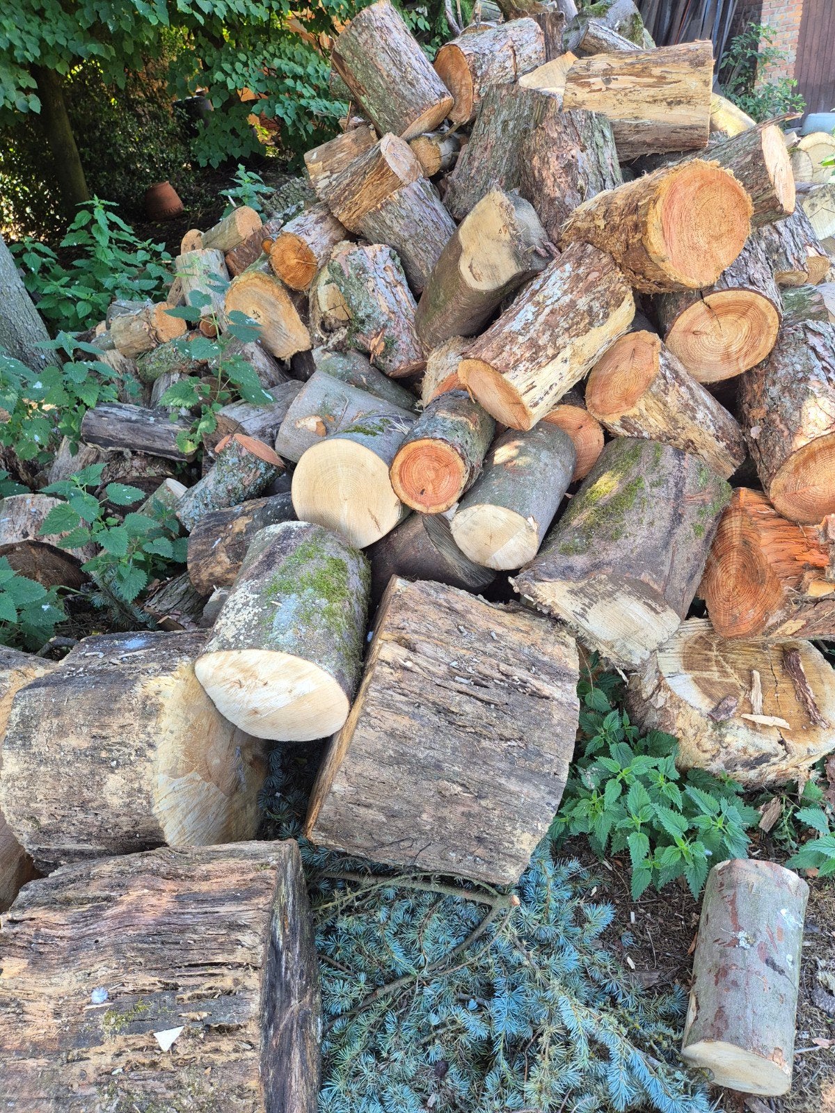 Bois de chauffage à vendre — chêne, hêtre, mélèze et érable, Jardin & Terrasse, Bois de chauffage, 6 m³ ou plus, Enlèvement, Chêne