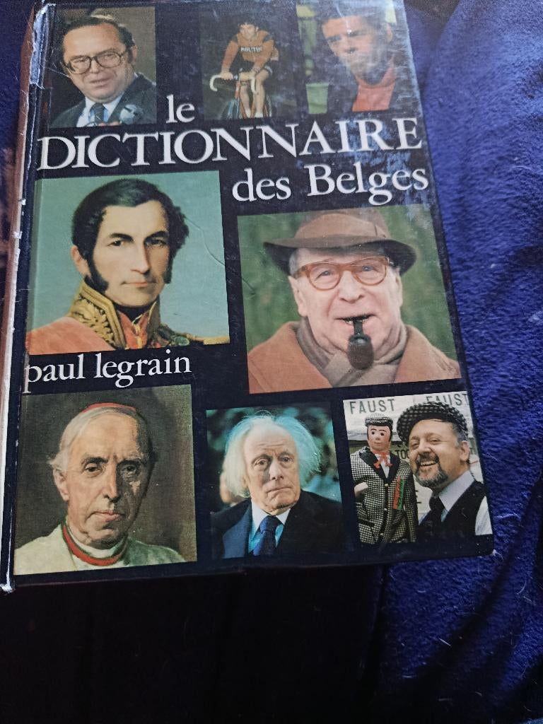 Livre le dictionnaire des Belges, Livres, Enlèvement, Utilisé, Français