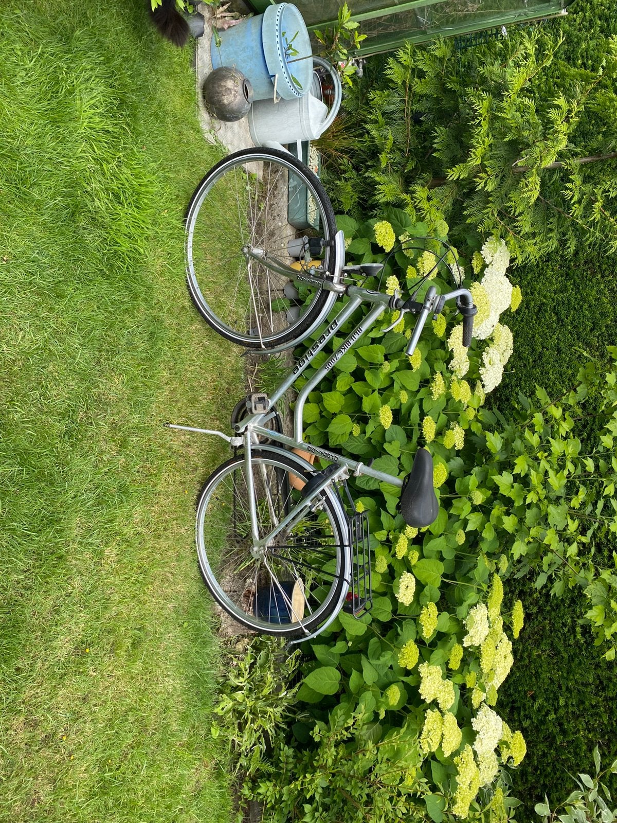 Fiets, Enlèvement, Utilisé, Autres types