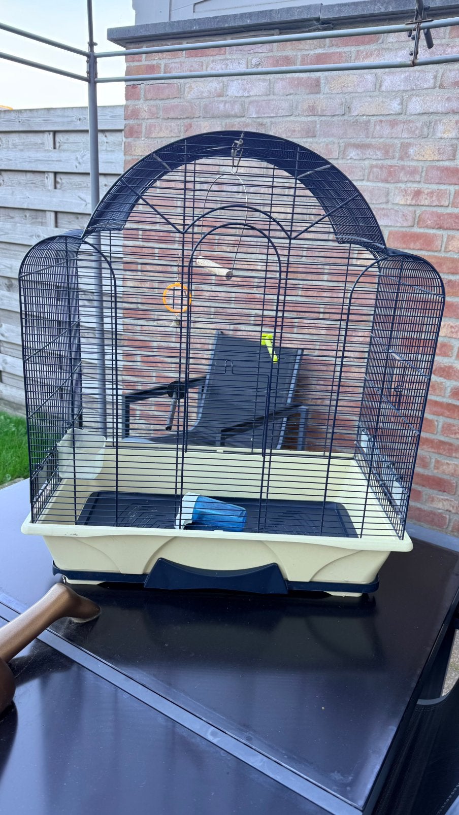 Grote vogelkooi, Ophalen, Zo goed als nieuw, Vogelkooi