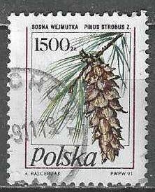 Polen 1991 - Yvert 3118 - Dennenappels (ST), Verzenden, Polen, Gestempeld