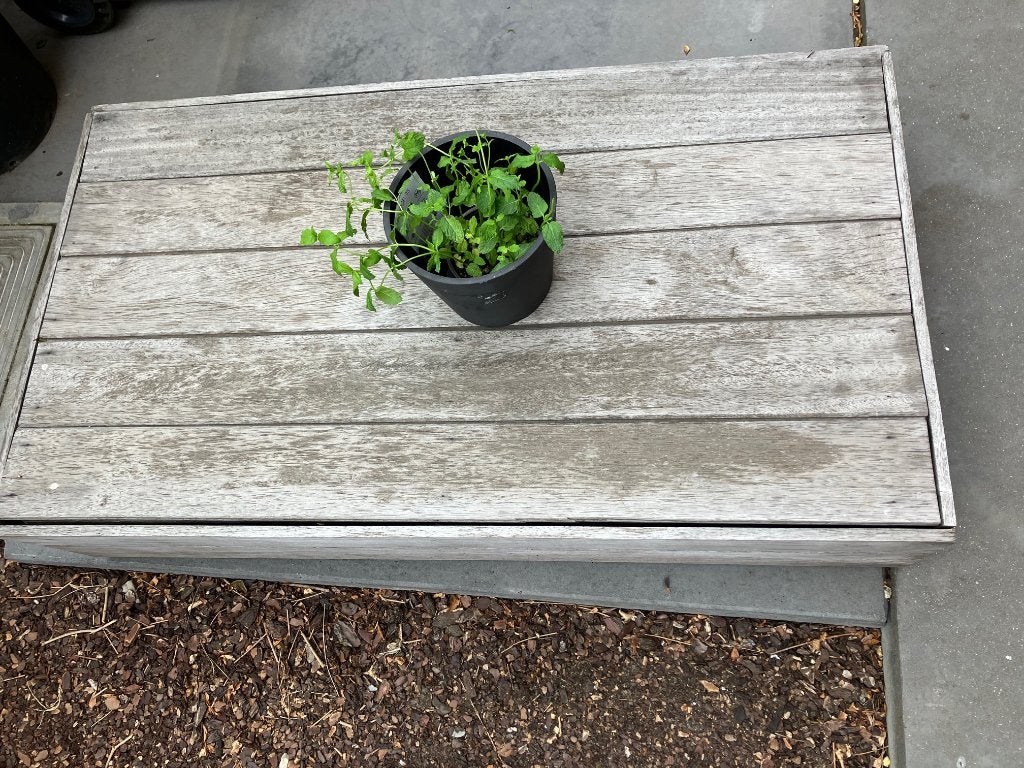tuintafel salon padoukhout = tropisch hardhout, Ophalen, Gebruikt, Hout