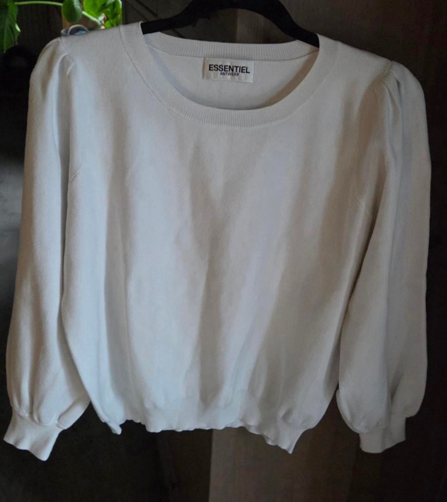 Wit truitje L, Kleding | Dames, Ophalen of Verzenden, Maat 42/44 (L), Wit
