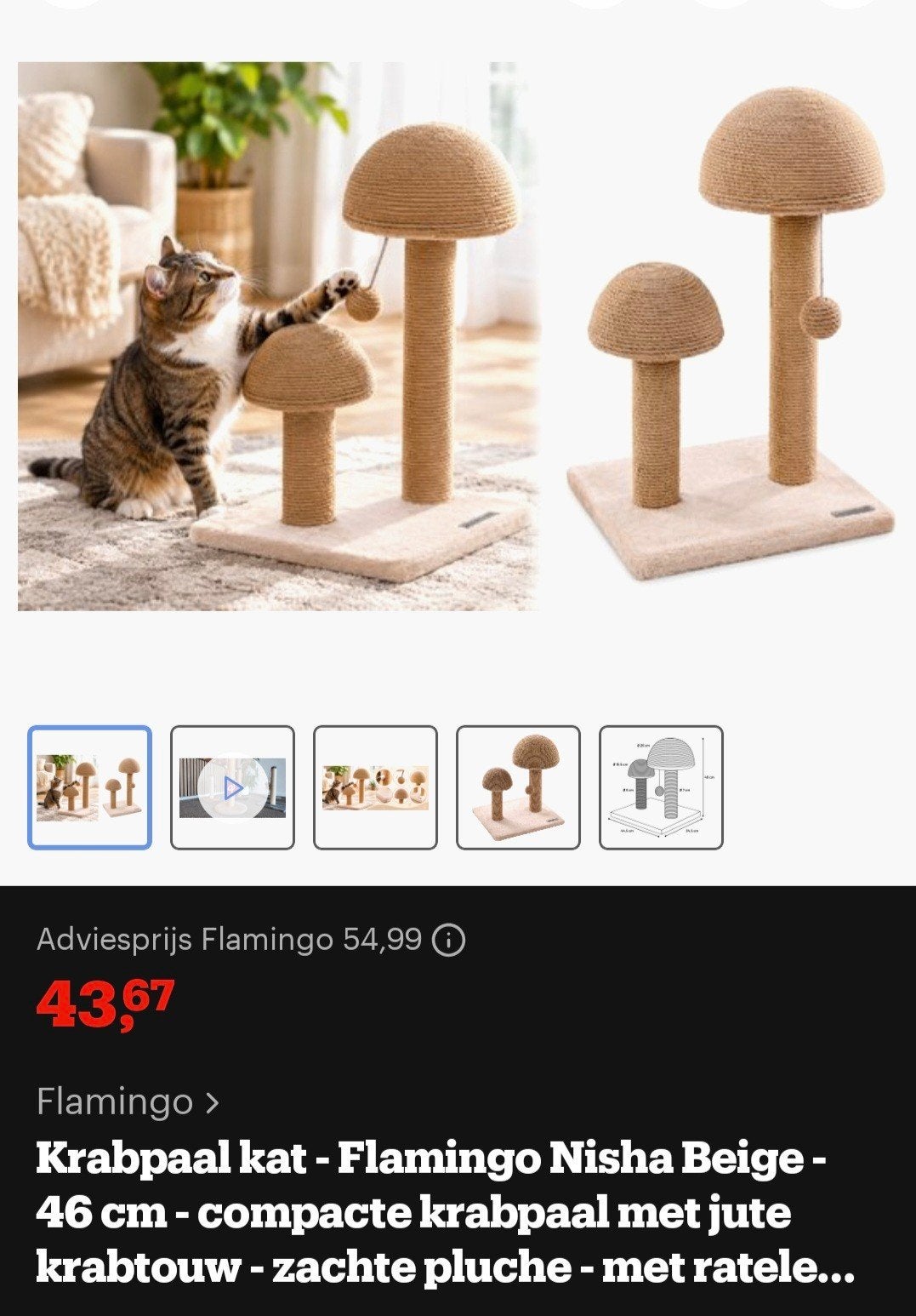 krabpaal, Animaux & Accessoires, Enlèvement, Neuf, Griffoir