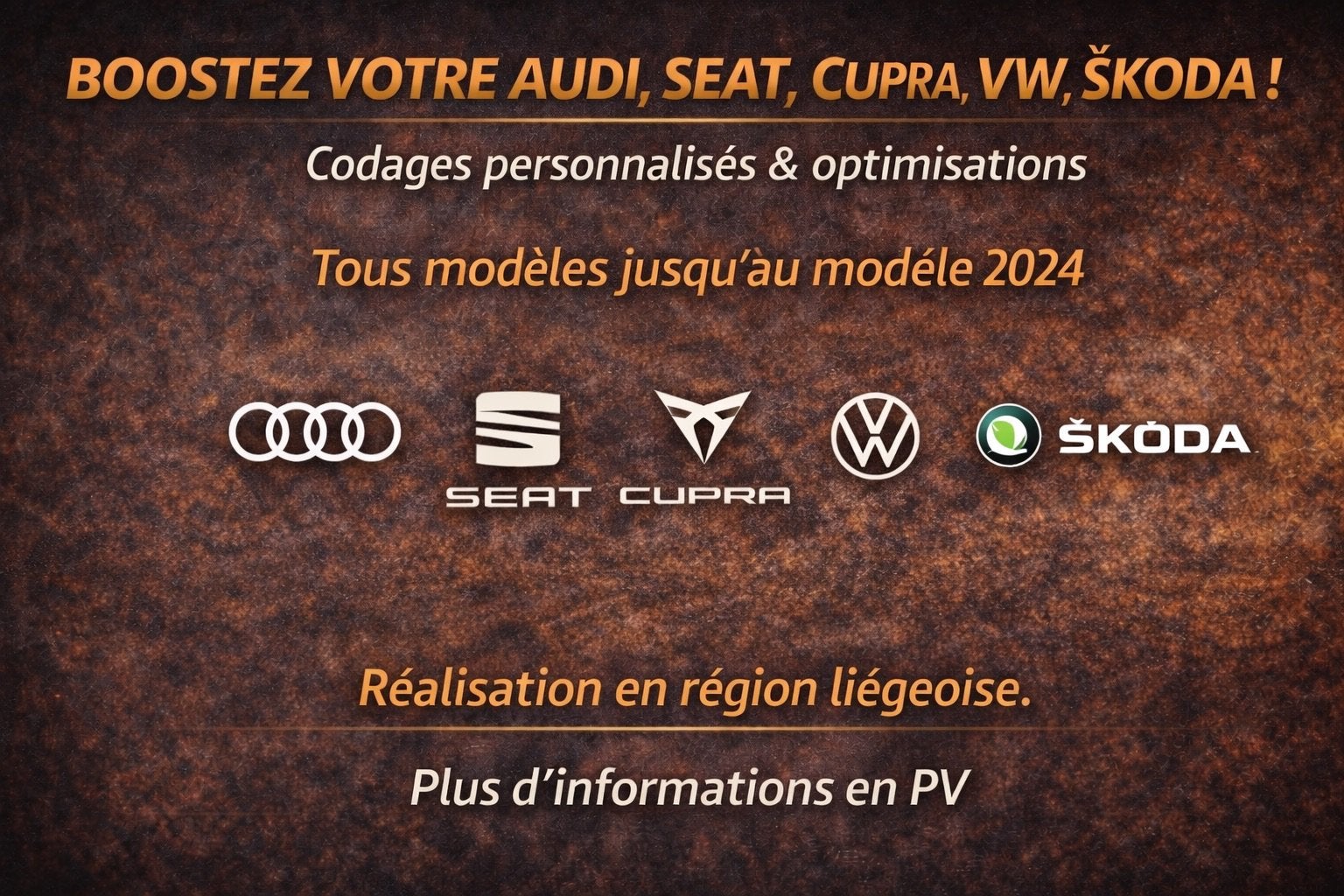 Codage d'options cachées pour BMW, AUDI, VW, SKODA, SEAT..., Enlèvement