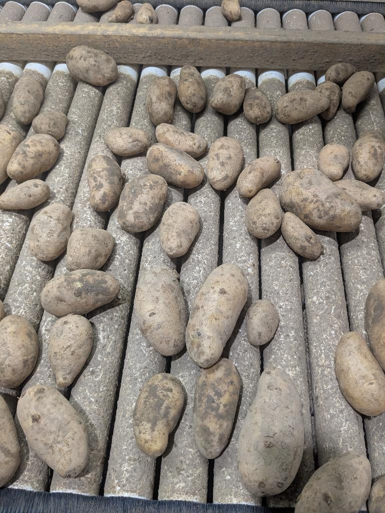 Aardappelen Annabelle, Zakelijke goederen, Ophalen