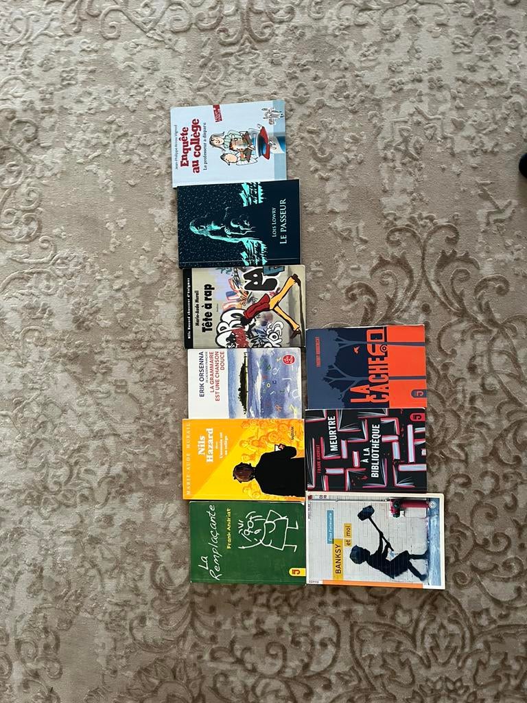 Livre, Livres, Chick lit, Comme neuf, Enlèvement